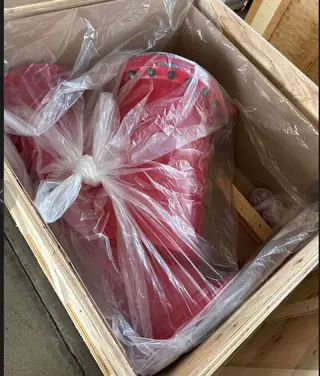 Y-Strainer Packaged in Wooden Case
