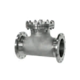 T Type Stainer, 1/2-32 Inch, 150-600 LB, ANSI B16.5, RF