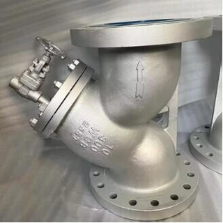 ASTM A216 WCB Y Strainer, 6 Inch, 300 LB, SS 316L Screen, RF