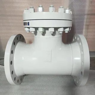 API 598 T Strainer, A234 WPB, A105, Inconel 625, 12 IN, CL300