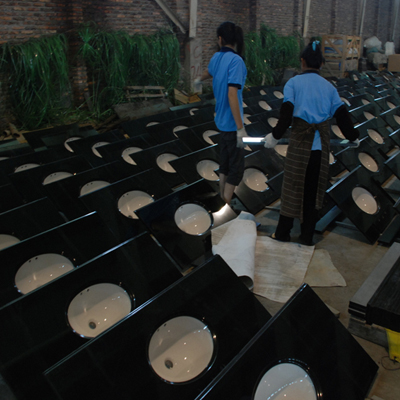 Shanxi Black