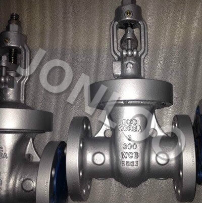 3 Inch Gate Valve 300 LB A216 WCB OS&Y Screwed Bonnet