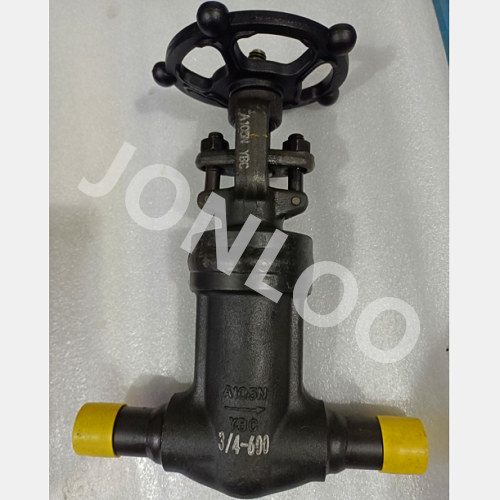Bellow Seals Globe Valve With welded Nipple 600LB