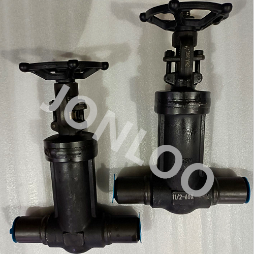 Bellows Seal Gate Valve with Welded Nipples 600LB