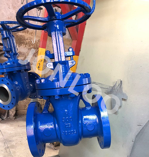 C5 Gate Valve Flexible Wedge 300LB 6INC