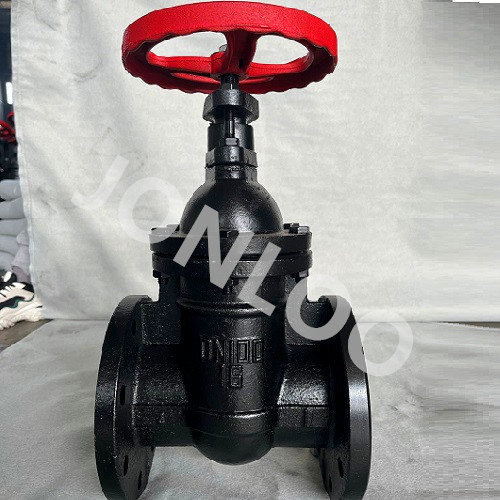 Cast Iron Gate Valve With Non-rising Stem PN16