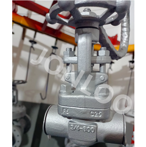 A182 F5 Forged Gate Valve 800LB 3/4INCH SW Ends