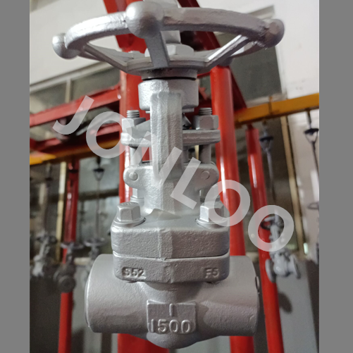 A182 F5 Forged Globe Valve 1inch 1500lb SW Ends