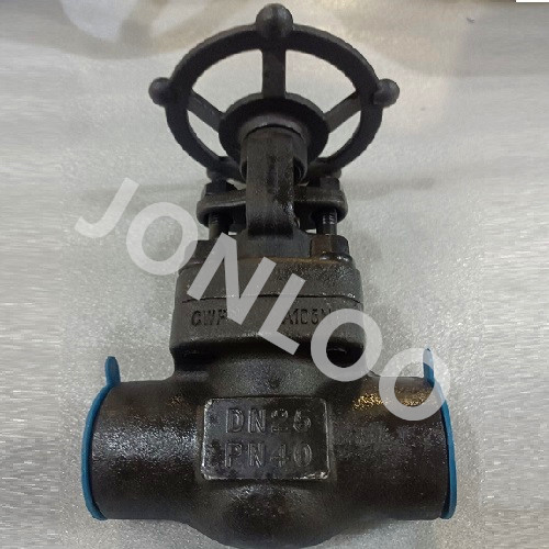 Forged Gate Valve A105 Material bore threaded DN25 PN40