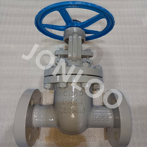 DIN Gate Valve PN64 DN50 G20Mn5 Material