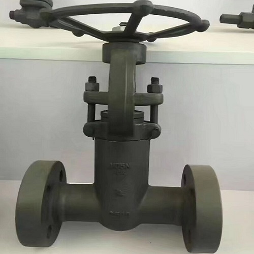 JONLOO Pressure Seal Forged Gate Valve with integral flanged ends  A 105 2500 LB API 600