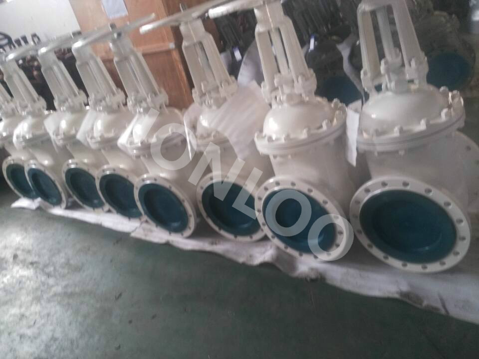 DIN GATE VALVES FOR EUROPEAN CLIENT