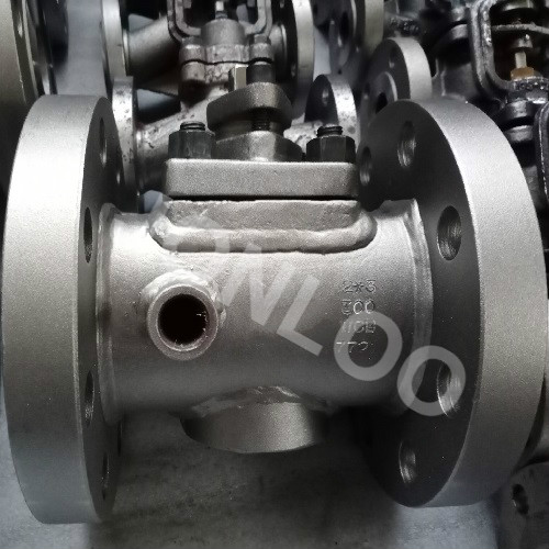 What are Jacketed Valves