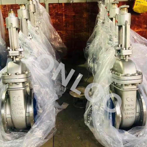 SS316 Gate Valve DIN F4 Face to Face Rising Stem DN250 PN16