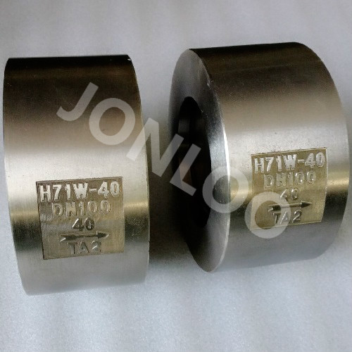 Wafer Check Valve Titanium Material DN100 PN40