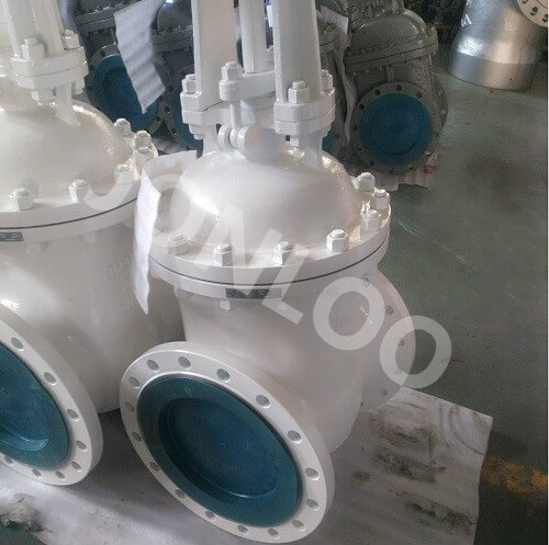 Carbon Steel Gate Valve DN300 PN25 RF DIN Standard