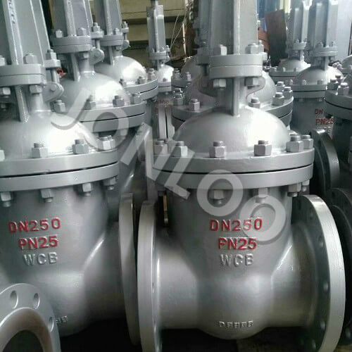 CE Certified DIN Gate Valve RF Rising Stem PN 25 DN 250