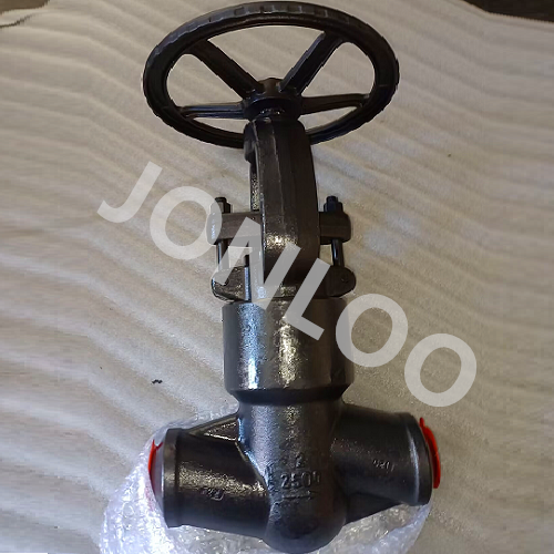 2500LB Forged Globe Valve 2inch F22 Material
