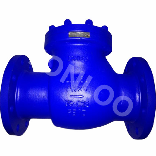 Flanged Check Valve DN150 PN25 DIN Standard
