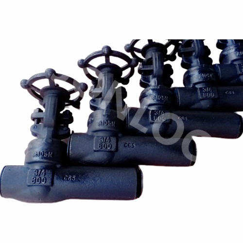 Forged Gate Valve With Extended Body Class 800 SW