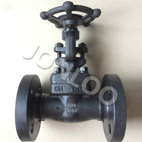Forged Gate Valve DN 25 PN 40 A105N Flanged Ends