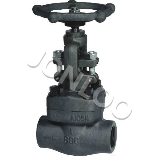 Forged Steel Globe Valve Socket Weld 800 LB A105N API602