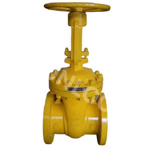 Gate Valve Flange Type 8 Inch 300 LB API 600