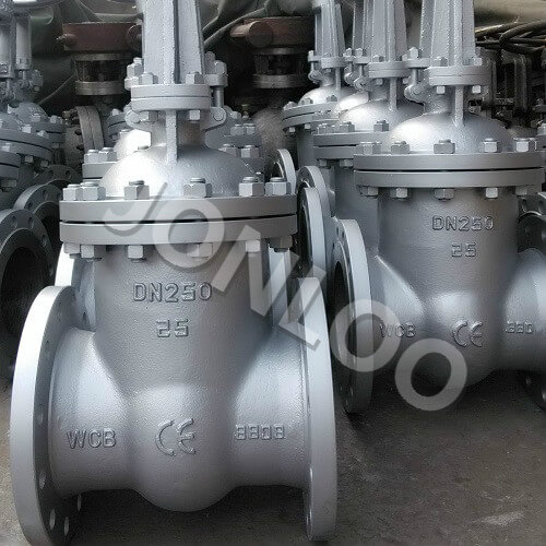 Industrial Gate Valve RF Rising Stem PN 25 DN 250