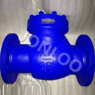 Flanged Swing Check Valve 1500LB 10INCH Bolted Bonnet