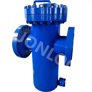 Bucket Strainer WCB 12 Inch 300 LB RF