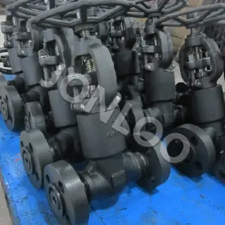 Pressure Seal Globe Valve 2 inch 2500LB A105 RTJ