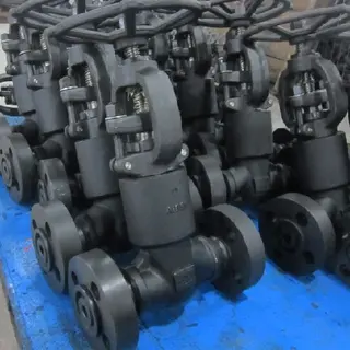 What are Pressure Seal Valves