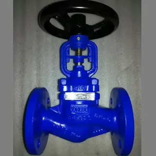 What are Globe Valves