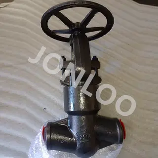 2500LB Forged Globe Valve 2inch F22 Material