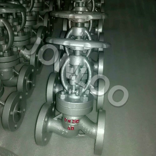 Small Globe Valve DN20 PN40 DIN standard