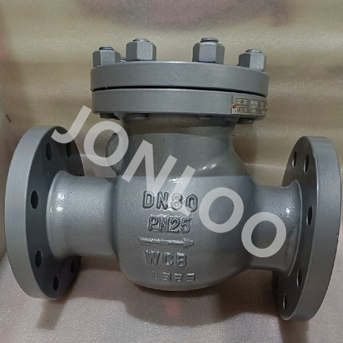Carbon Steel Check Valve Swing Type PN25 DN80 DIN Standard