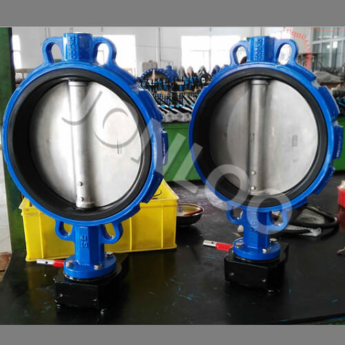 Concentric Wafer Type Butterfly Valve A536-65 Body 12 inch 150LB
