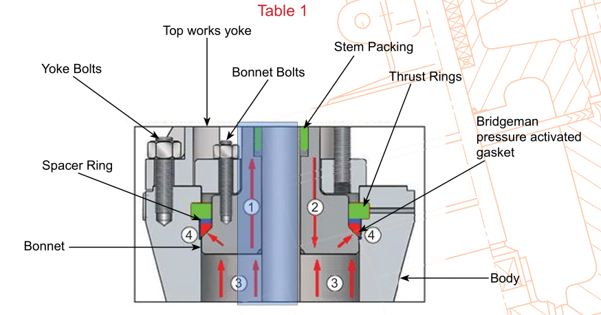 bonnet gasket