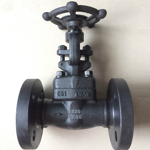 Bolted Bonnet Forged Gate Valve DN 25 PN 40 A105N Flanged Ends - Jonloo ...