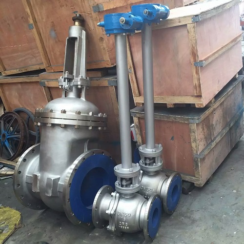 Expansion stem ball valve 150mm PN16 A351 CF8