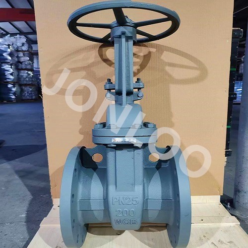 Gost Standard Gate Valve Carbon Steel PN25 DN200