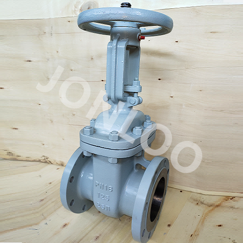 Gost Standard Gate Valve Carbon Steel PN16 DN125