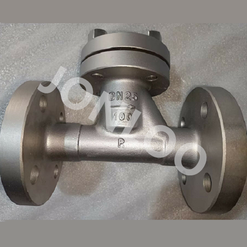 Lift Check Valve DN25 PN100 CF8 Material