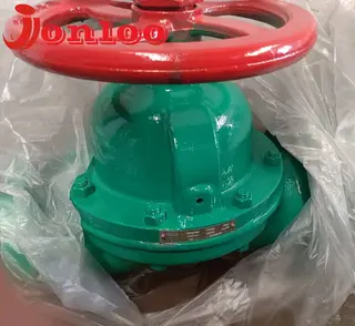 Everything You Should Know About Diaphragm Valve Function
