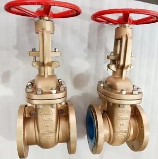 Al-Br Gate Valve C95800 Material DN125 PN16