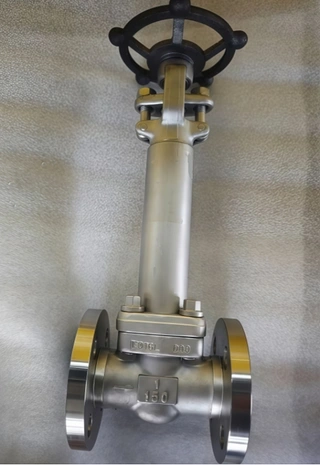 Cryogenic globe valve F316L 150LB 1INCH
