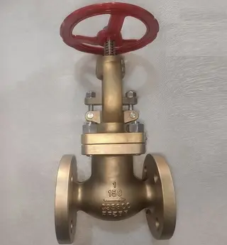 Al-Bronze  C95800 Globe Valve