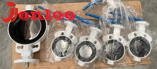 What to Consider When Choose a Keystone Butterfly Valve with EPDM Seat