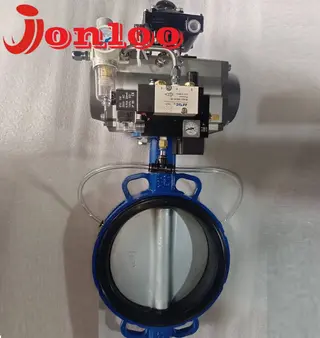 What is Inflatable Seat Butterfly Valves