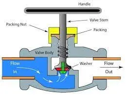 Why should globe valve be low in and high out